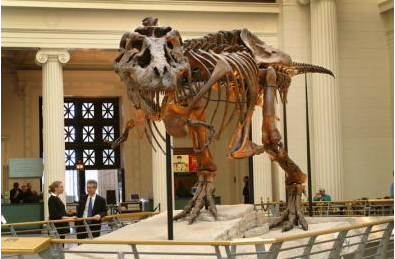 Waking the T. rex 3D: The Story of SUE - Field Museum
